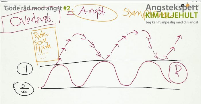 Autonomt nervesystem og angst